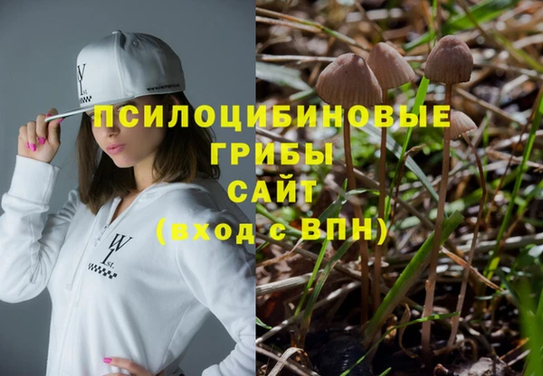 соль ск Алзамай
