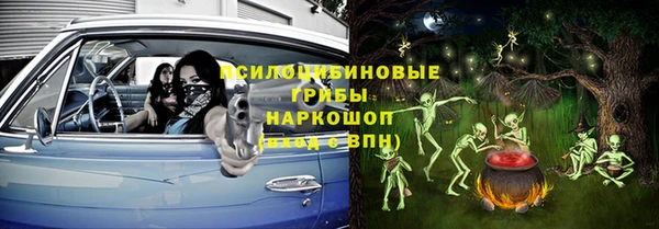 соль ск Алзамай