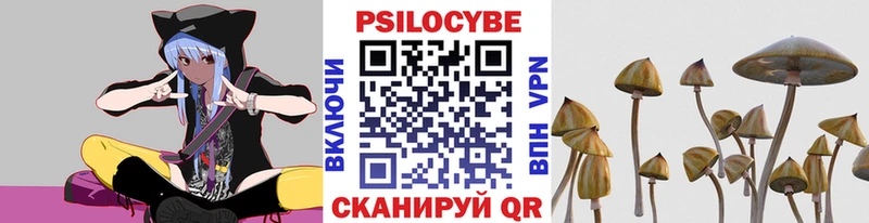 Галлюциногенные грибы GOLDEN TEACHER  купить   Приозерск 